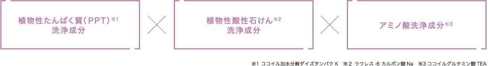 ※1 ココイル加水分解ダイズタンパクK　※２ ラウレス-6 カルボン酸Na　※3ココイルグルタミン酸TEA