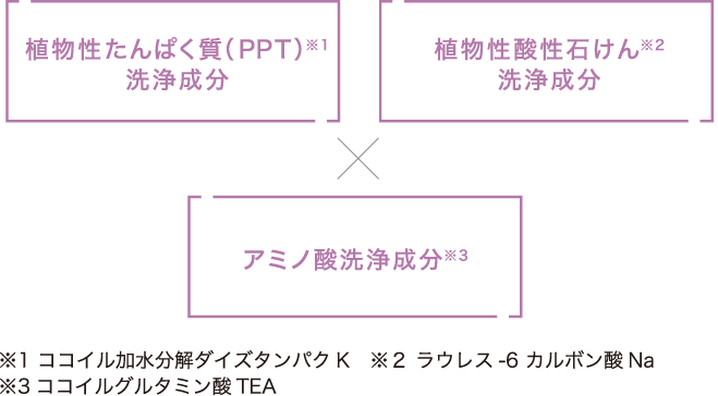 ※1 ココイル加水分解ダイズタンパクK　※２ ラウレス-6 カルボン酸Na　※3ココイルグルタミン酸TEA