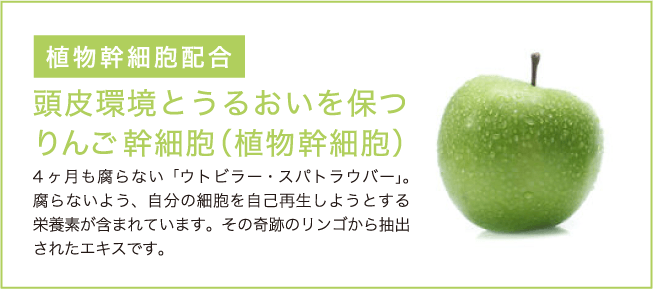 頭皮環境とうるおいを保つりんご幹細胞（植物幹細胞）