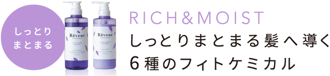 しっとりまとまる RICH&MOIST しっとりまとまる髪へ導く6種のフィトケミカル