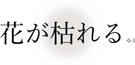 花が枯れる